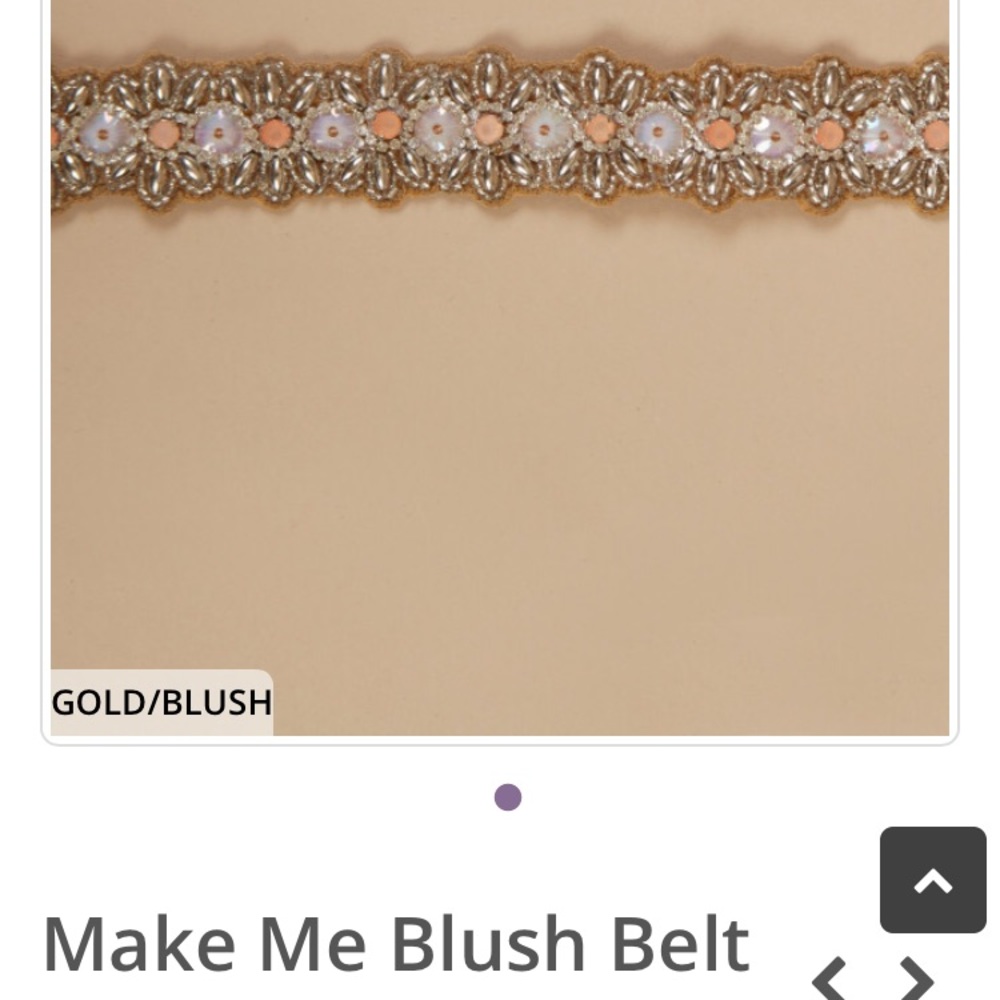 Altard State Stretchy Belt